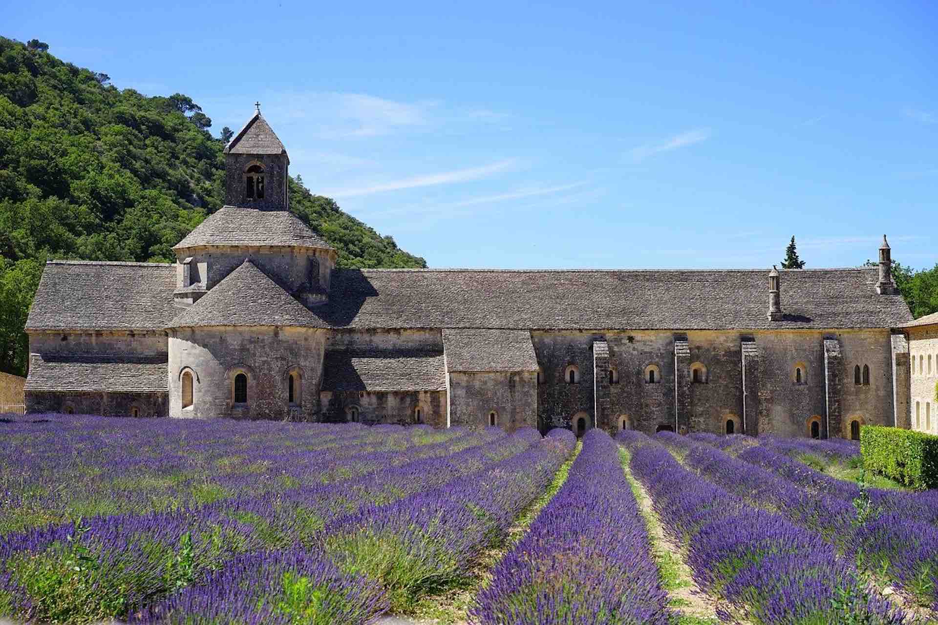 La ruta de la Lavanda en la Provenza: Cuándo florece y qué pueblos visitar